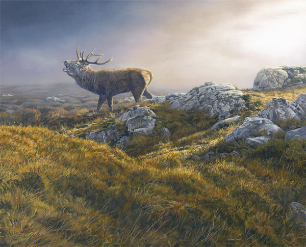 Bellowing Red Deer Stag Print - Oil painting of red deer stag roaring reproduced as a canvas print