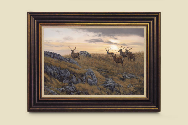 Framed Red Deer Print - Oil painting of a stag roaring during the rut