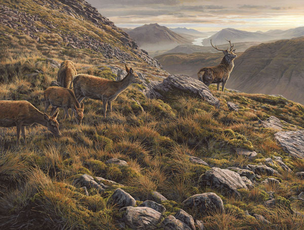 Oil painting by Martin Ridley. Red deer stag with hinds on Beinn Maol Chaluim above Loch Etive looking down Glen Etive to Ben Cruachan in the Scottish Highlands.