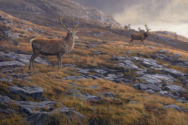 Red Deer Print - Oil painting of red deer stags at the end of the day reproduced as a canvas print