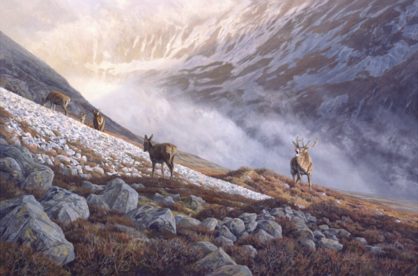 Red Deer Print - Oil painting of a stag roaring during the rut reproduced as a canvas print