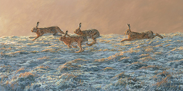 Original oil painting capturing the movement of running hares painted across three panels