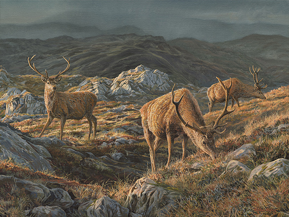 Three red deer stags - Oil Painting for Sale