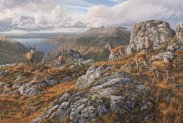 Ben Sgritheall - Red Deer Scottish Highlands Painting
