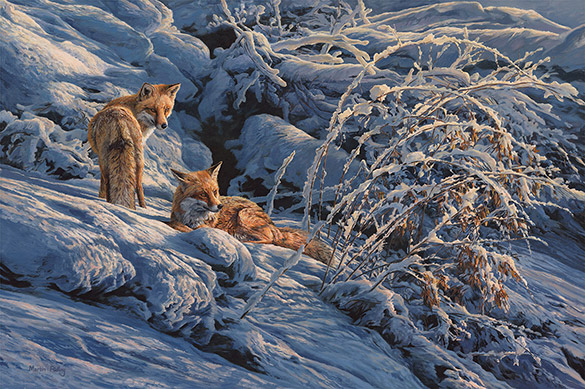 Winter Sun, Foxes in Snow, Oil painting for sale by Martin Ridley