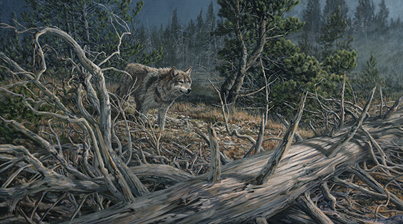 Timber wolf focused on something as it hunts by moonlight. Gray wolf - original oil painting by Martin Ridley