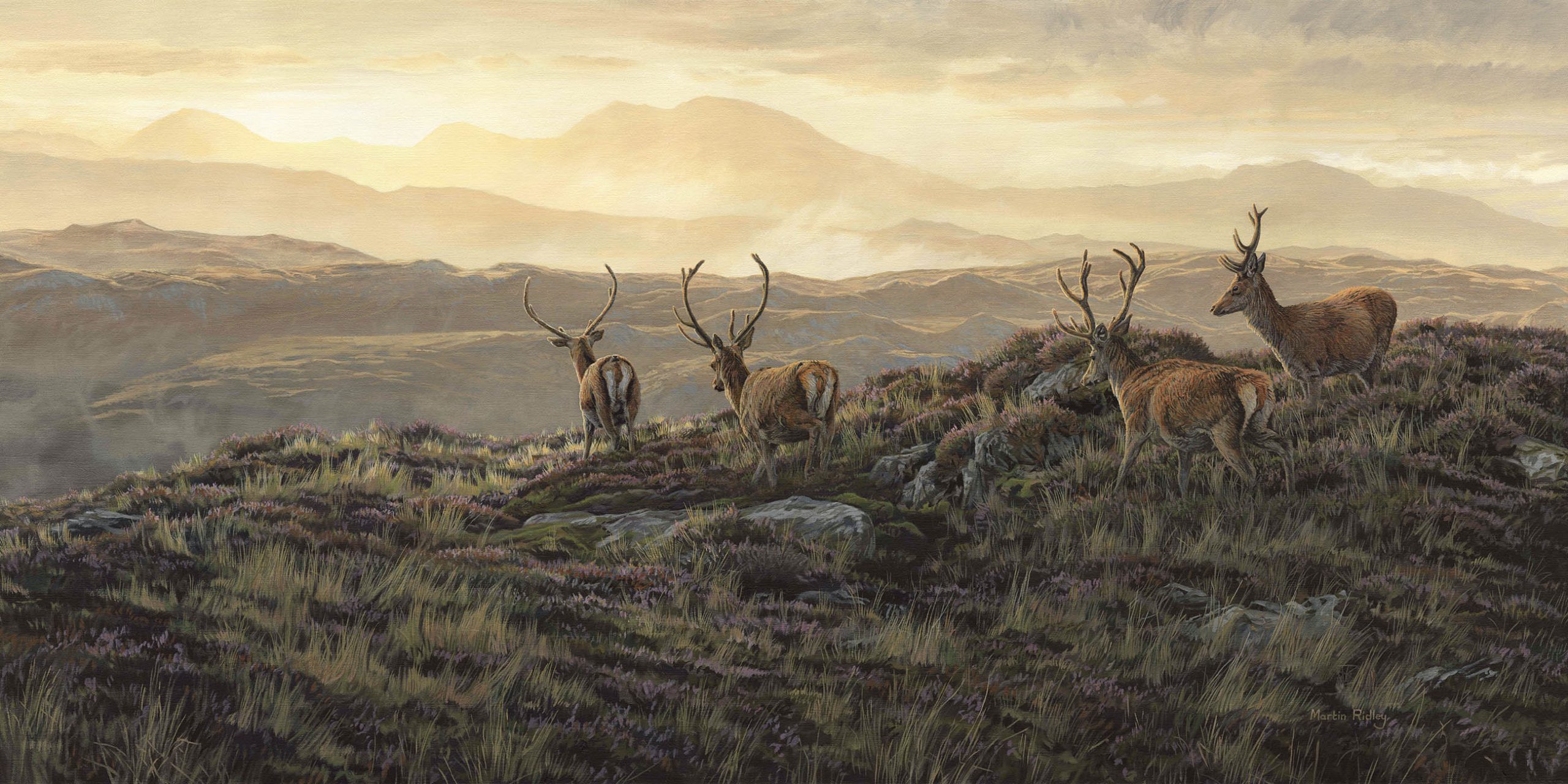 Red Deer Stags - Velvet Morning
Original oil painting by Martin Ridley
