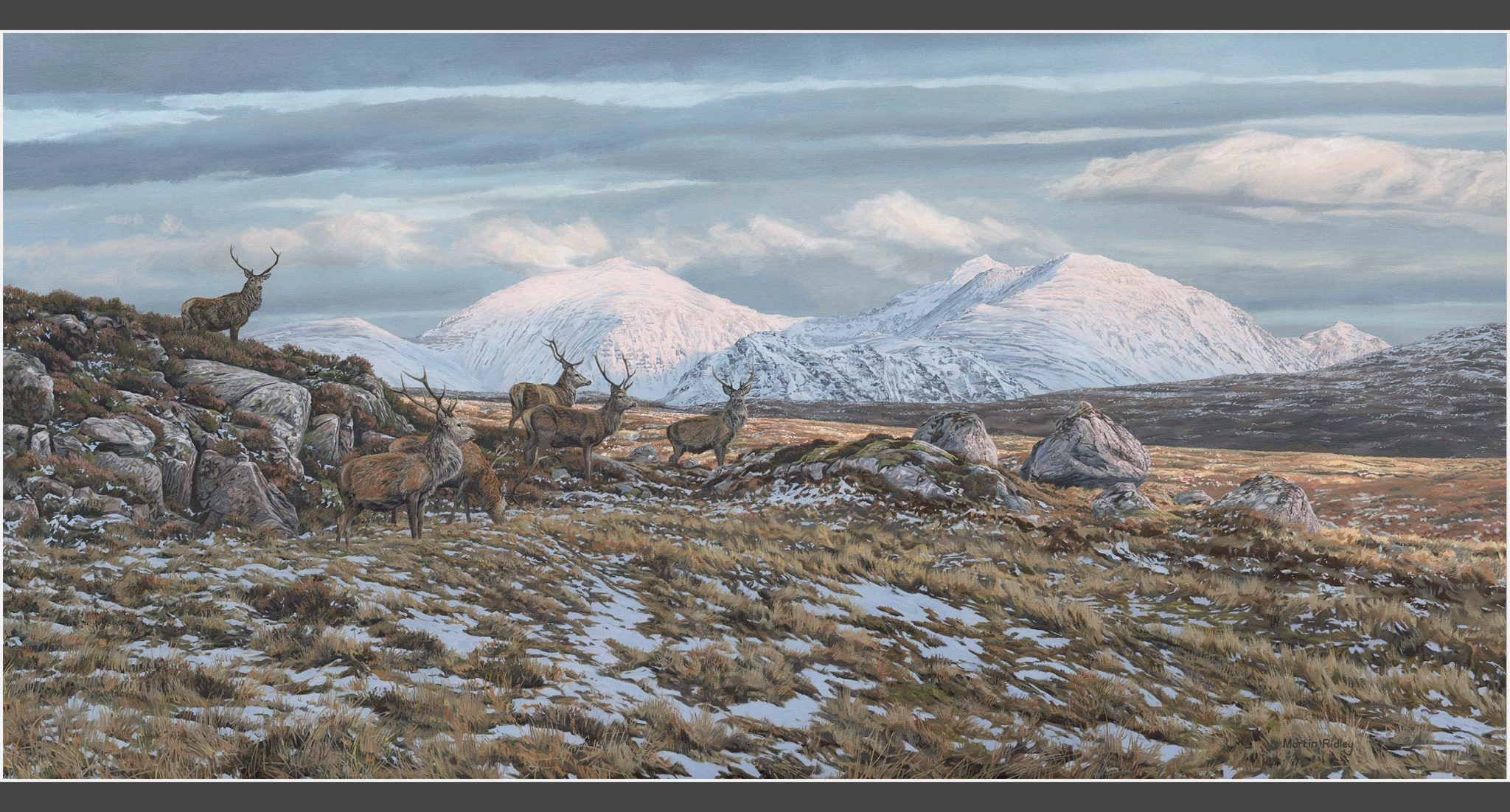 Martin Ridley Wildlife Artist | Original Paintings & Commissions