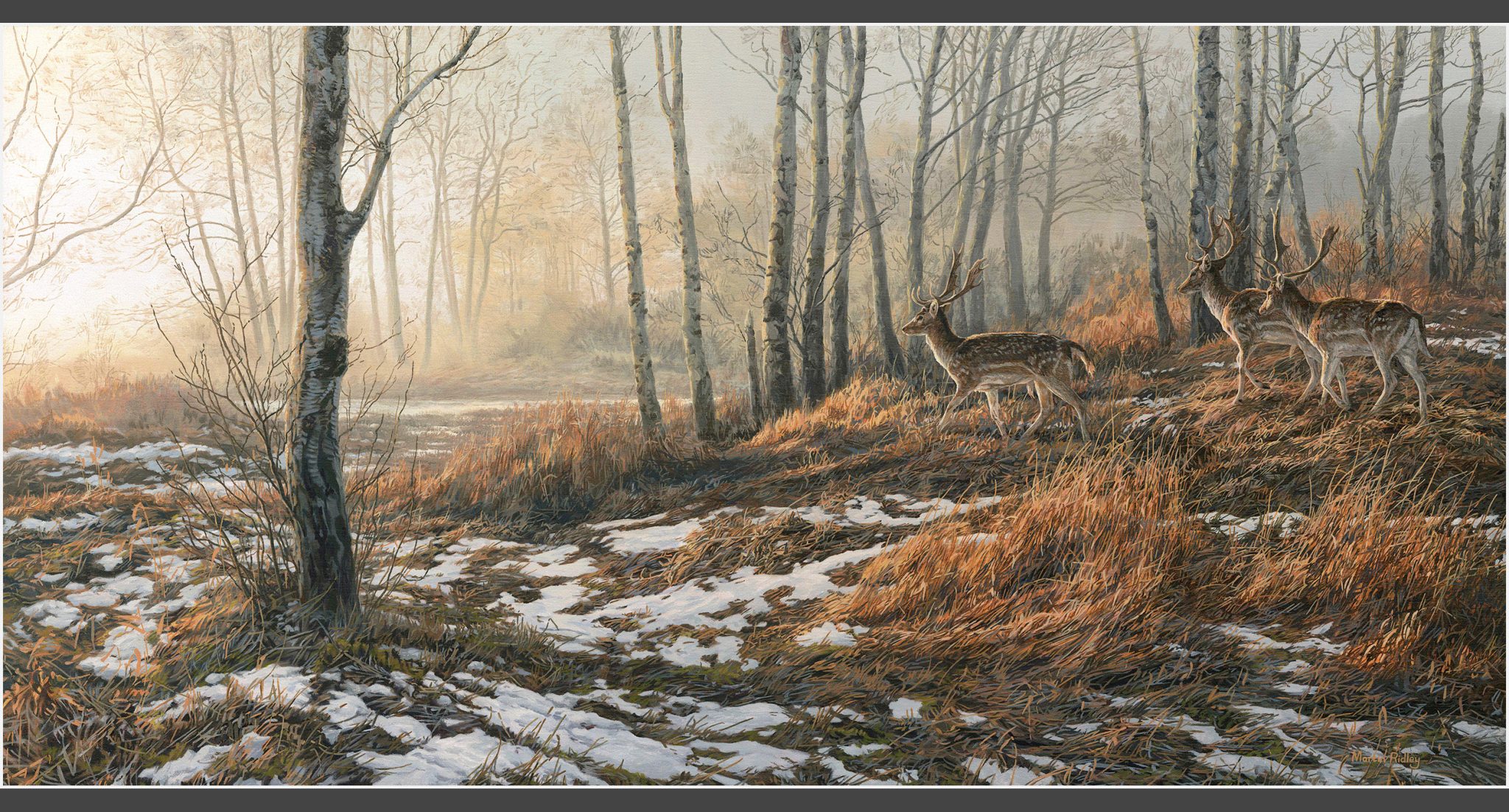 Martin Ridley Wildlife Artist | Original Paintings & Commissions