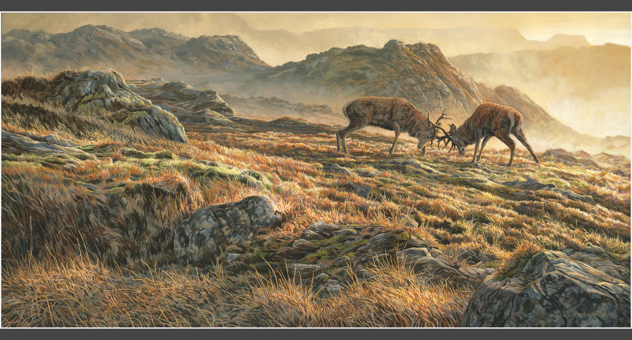 Martin Ridley Wildlife Artist | Original Paintings & Commissions