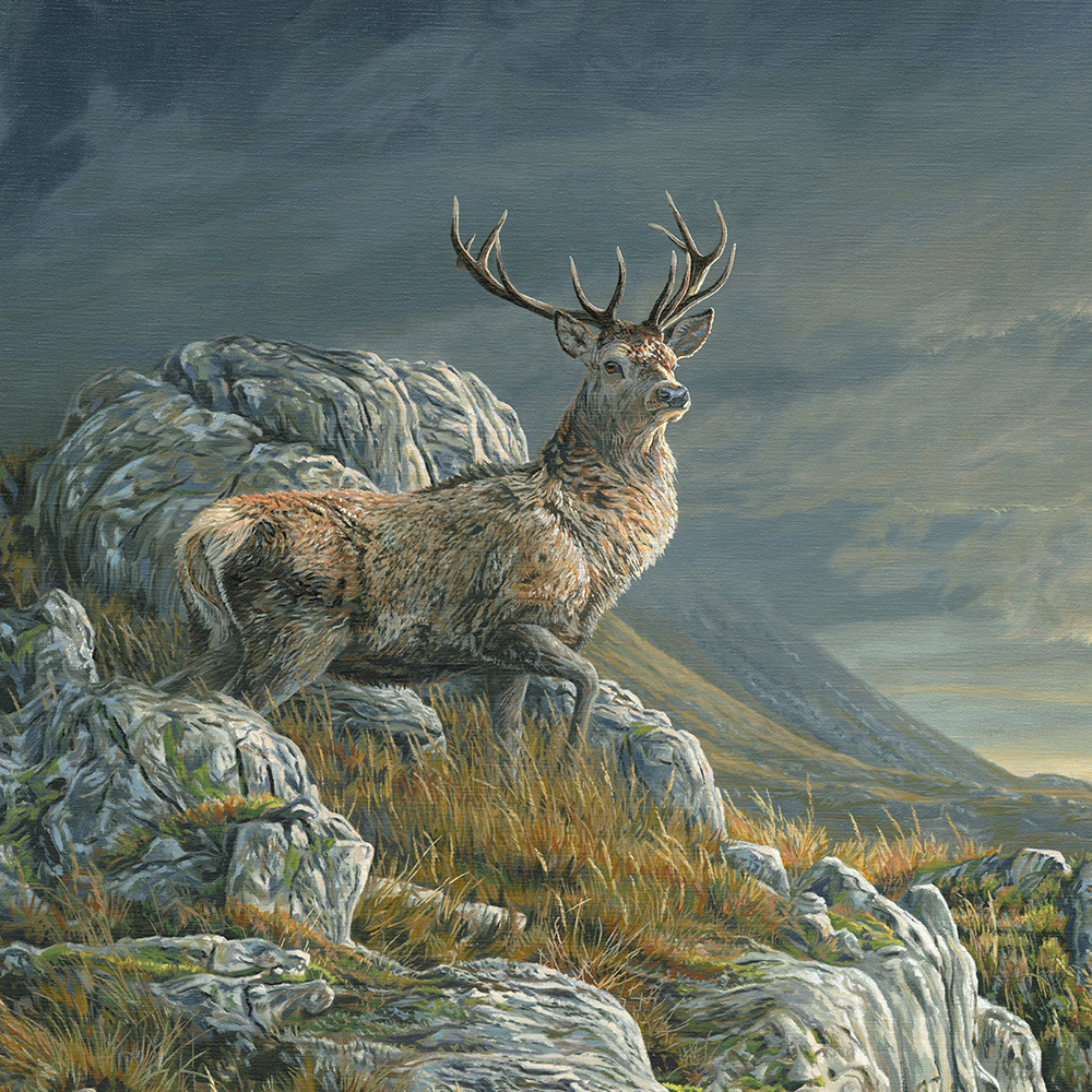 Mammal paintings for sale