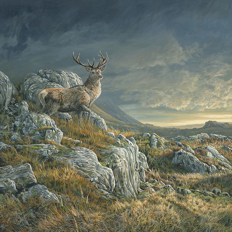 Bird paintings for sale - golden eagle