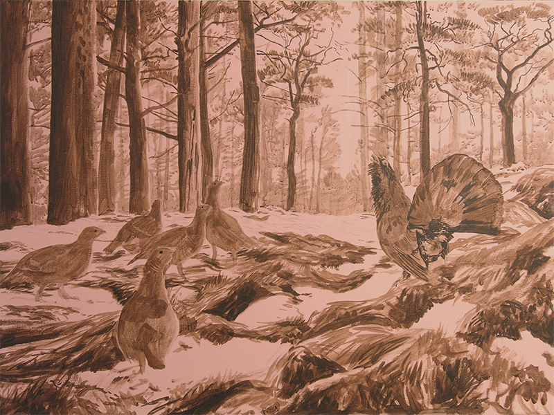 Capercaillie painting in progress-Original Oil by Martin Ridley