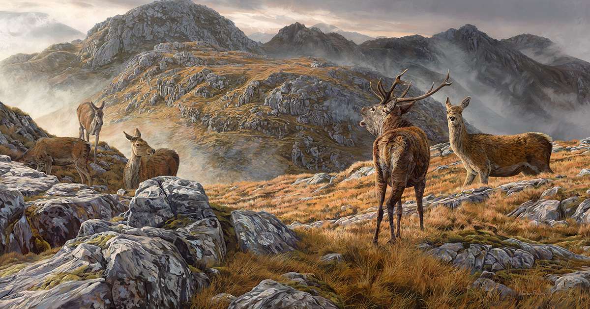 Martin Ridley Wildlife Artist | Original Paintings & Commissions