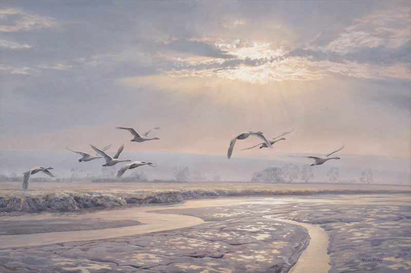 Flight of swans - bird paintings for sale