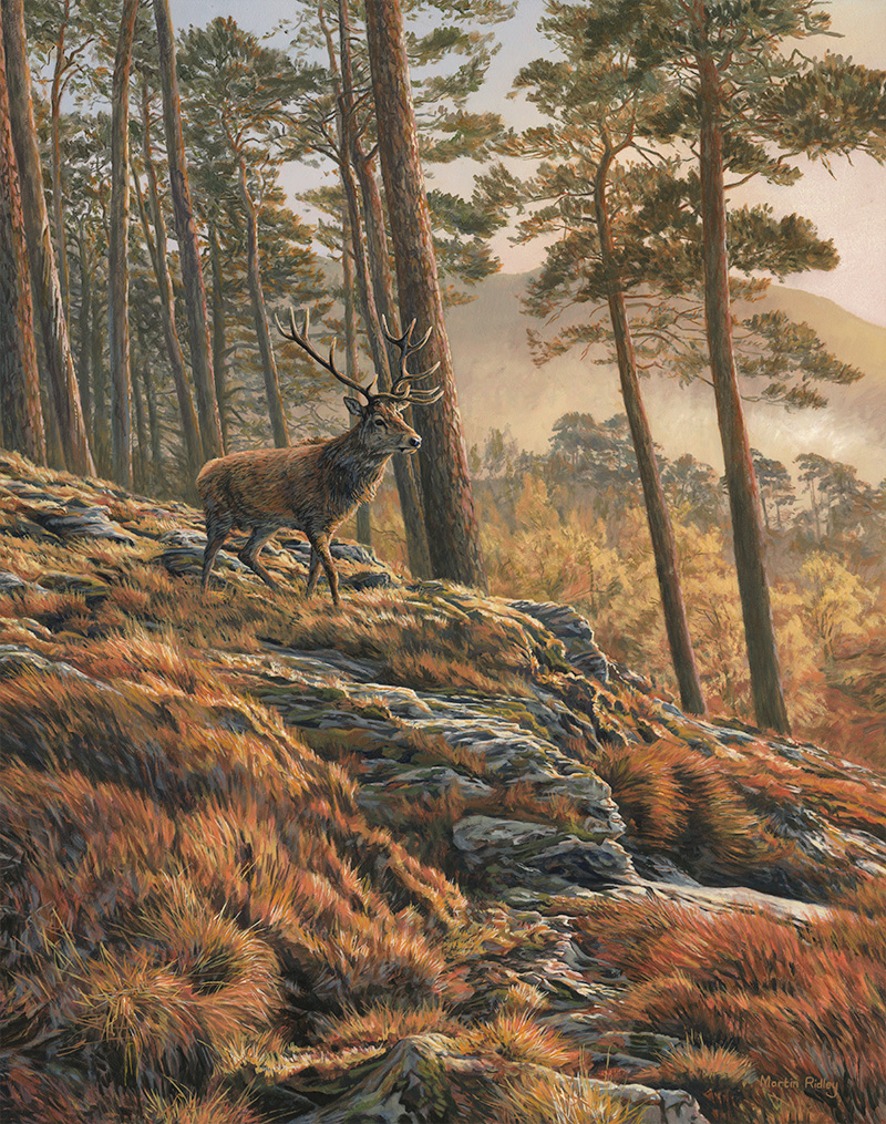 Bird paintings for sale - golden eagle