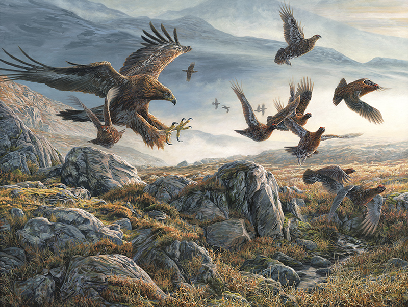 Oil painting of a Golden Eagle swooping onto Red Grouse by Martin Ridley