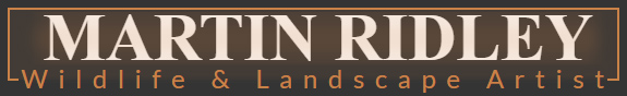 Martin Ridley - Landscape & Wildlife Artist Header