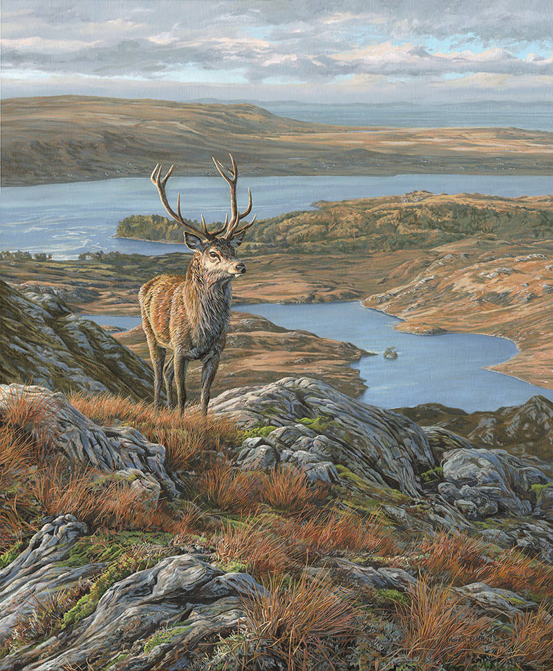 Bird paintings for sale - golden eagle