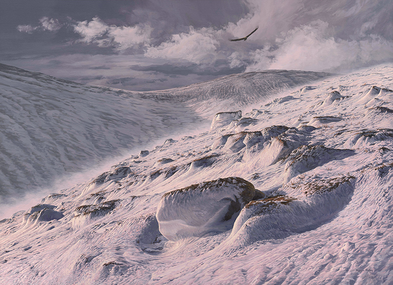 Oil painting of a Golden Eagle ssoaring above Sron Riach, Ben Macdui by Martin Ridley
