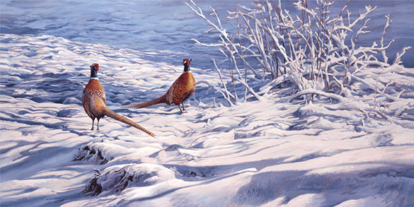 Original painting of a two cock pheasants in snow. Game birds