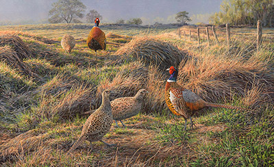 Sporting Art Woodcock print on canvas by Martin Ridley.