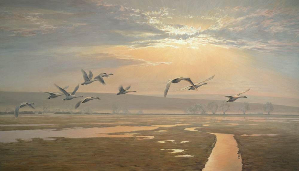 Flight of Swans - Original oil on canvas, image size 9x5 feet