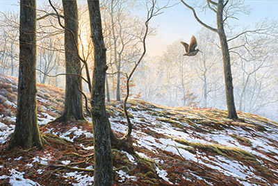 Flushed woodcock - A print on canvas by artist Martin Ridley.