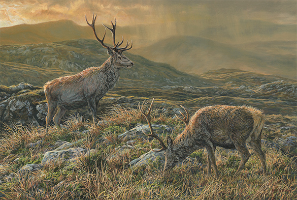 Two red deer stags in mountain scenery by Martin Ridley