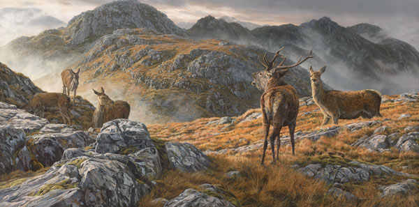 Druim Fada Ridge above Loch Hourn Roaring red deer stag and hinds - Original oil painting of a stalking scene