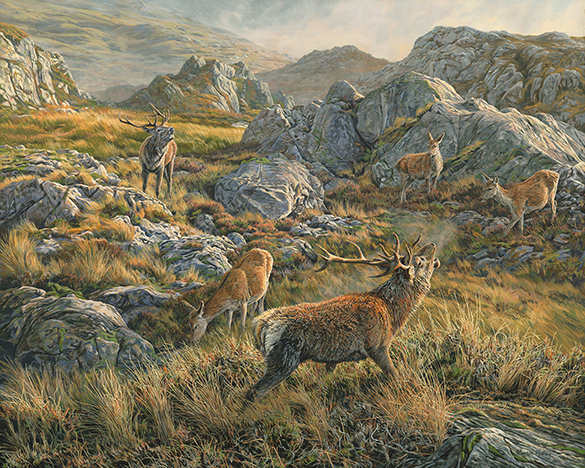 Two roaring stags with hinds - large oil painting by Martin Ridley