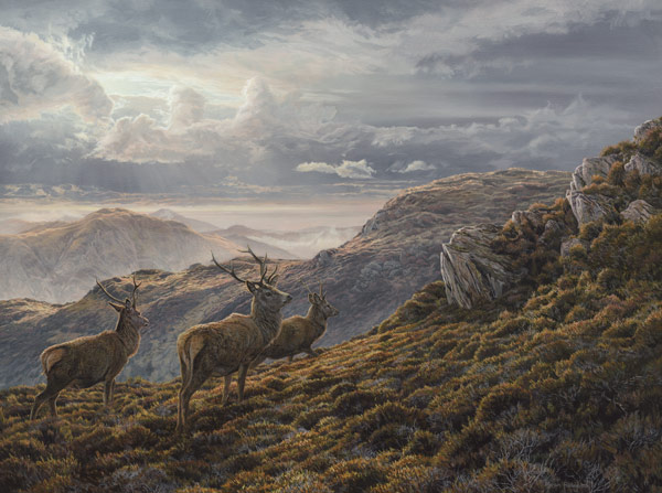 Oil painting on canvas of three red deer stags in the Scottish Mountains