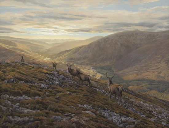Oil painting depicting the view from Creag nan Gabhar near Braemar with a line of red deer stags