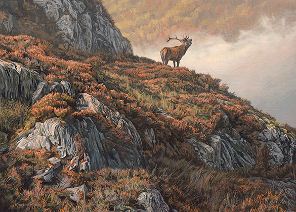 Roaring red deer stag oil painting