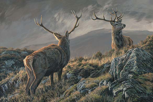Royals -  Red Deer Stags Oil Painting