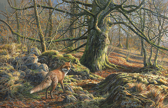 Red Fox - original oil painting for sale