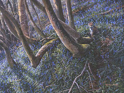 Original Wildlife Art : Fox cub in a bluebell wood