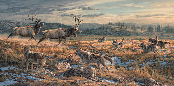 north american wildlife art