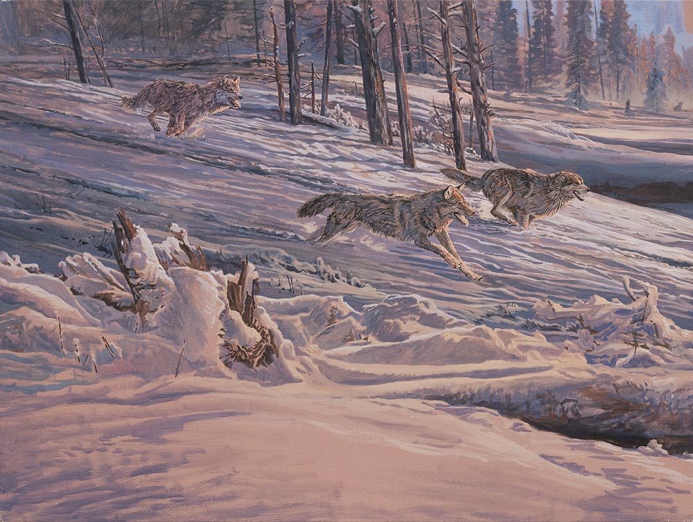 Diptych oil painting of Gray Wolves chasing American Elk or Wapiti