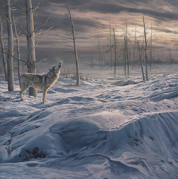 all wolf paintings